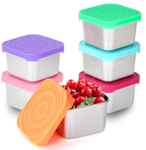 KENTROON 6Pcs Small Snack Boxes Stainless Steel Food Containers,Leakproof and Reusable Storage Container with Silicone Lids for Snack Salad Sauce Dressing Lunch for Kids,School,Travel BPA Free