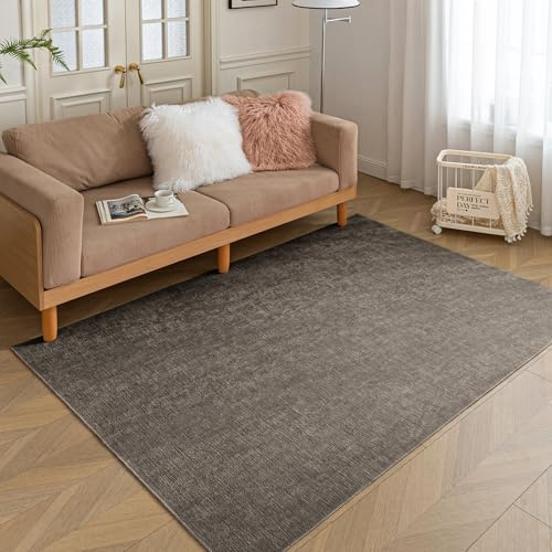HARESLE Kurzflor Teppich Klein, Teppich Kinderzimmer, Waschbare Teppiche Kurzflor, rutschfeste Teppiche Schlafzimmer, Dünner Tepich Wohnzimmer, Tepich Esszimmer, Lounge Teppisch, Taupe - 60×120cm