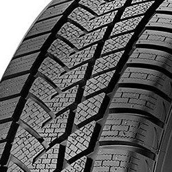 Sunny Wintermax NW211 ( 195/55 R16 87H )