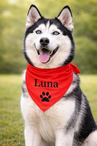 Personalisiertes Hundebandana mit Namen – Individuelles Hundehalstuch mit Wunschtext & Symbol – Waschbar – hergestellt & personalisiert in der EU (L, Uni Farbe)