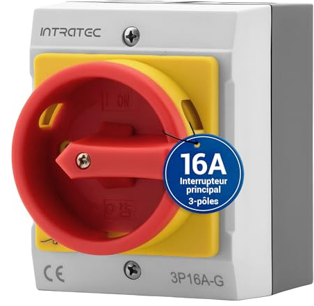 Interruttore principale 16A, IP 65, 3 poli in custodia, interruttore rotativo per tutte le esigenze industriali