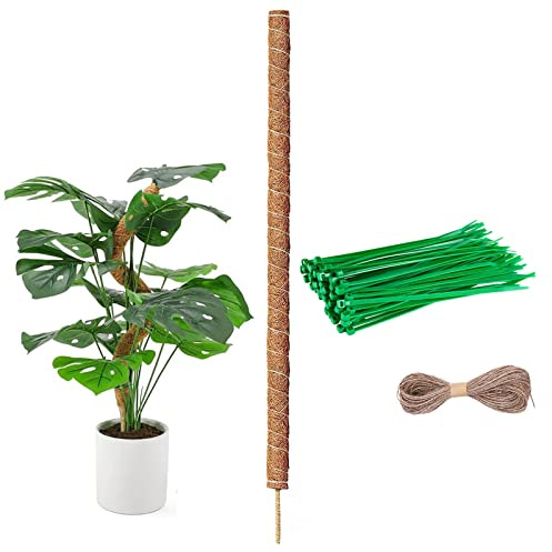 Monstera Tuteur Monstera pour plantes grimpantes 40 cm Bâton de mousse Monstera Bâton de plante pour plantes grimpantes Nom de la plantation Support des plantes