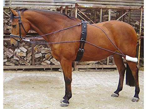 Harry's Horse Longeerhulpteugel