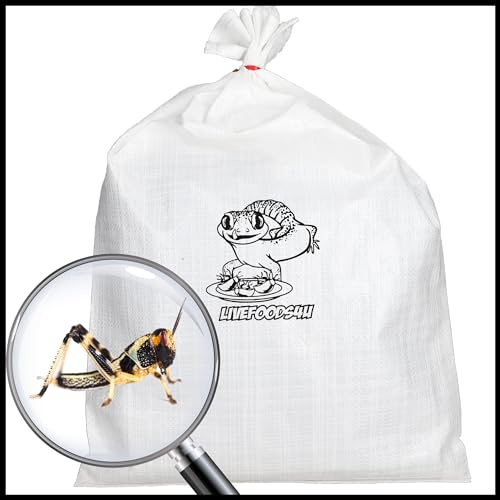 Livefoods4u Medium Live Locusts 12-20mm Bag of 100 | Reptile Food