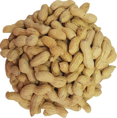 Premium Monkey Nuts for Wild Birds and Squirrels by Britten and James