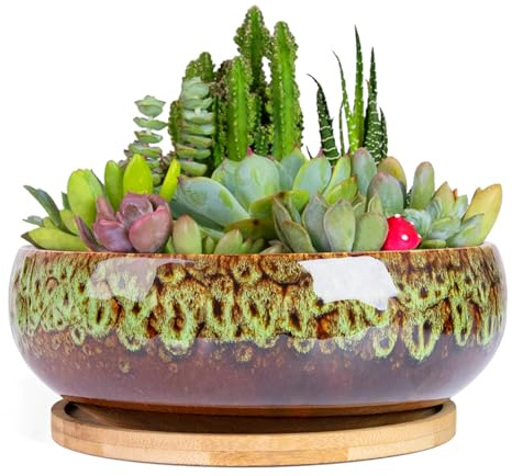 ARTKETTY Succulent Pots, 20 CM Large Bonsai Pot with Drainage Tray | Ceramic Plant Pots Indoor Shallow Flower pot, Garden Decorative Cactus Plant Container Bowl
