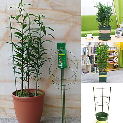 5 Stück wiederverwendbare Gartenpflanzenstütze, Metallringe, faltbar, klein, Garten & Outdoor, Rankgitter, Blume, Edelstahl, Klettern, Gemüse, Blumen & Obst, Käfig mit 3 verstellbaren Ringen