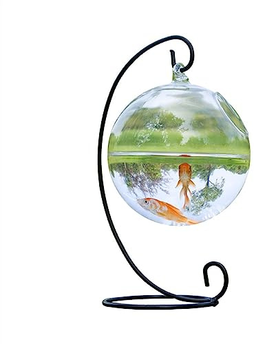 CJHFR472SG Terrarium Aquarium Hängendes Glas Aquarium Tank Transparent verdickt mit Eisenhalterung Aquarium Kleiner minimalistischer ökologischer Tank Insekten Schildkröten