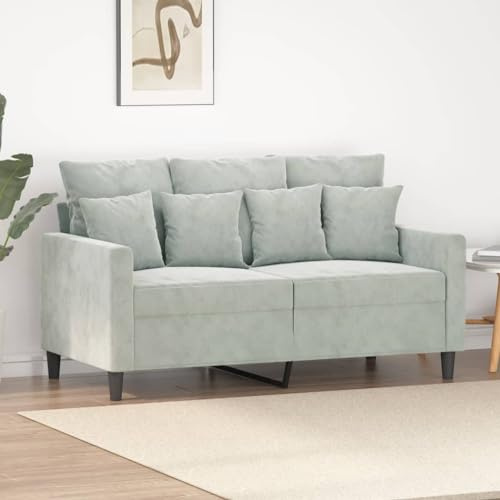 Fangmaliuyun 2-Sitzer-Sofa Hellgrau 138 x 77 x 80 cm Samtbezug Metallgestell Modernes kleines Couch für Wohnzimmer Jugendzimmer Flur