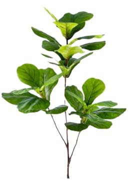 DEYIN Plantes artificielles de figuier en Caoutchouc de Magnolia de 76 à 135 Cm (53,1 Pouces) for Les décorations intérieures de Maison et de Bureau de Balcon de Jardin de Patio extérieur(FGR-ZH-Z1)