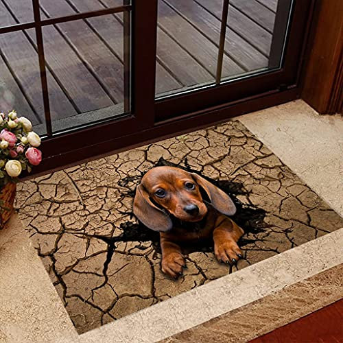 TIANTURNM Fussmatte Aussen Haustür Fußabtreter Dackel Hund Fußmatte Willkommensmatte deko Wohnzimmer 24x36