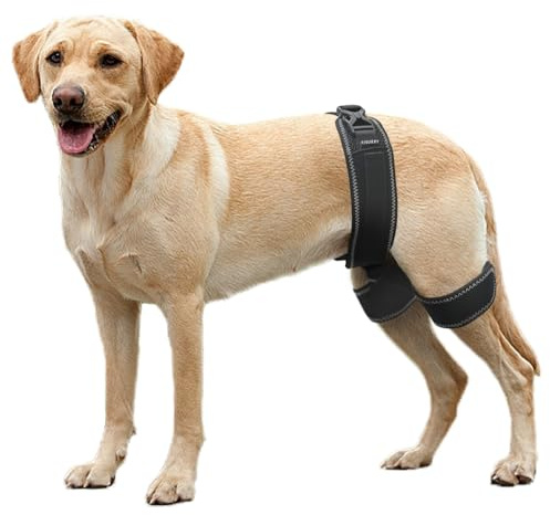 CHAMIN Hüftbandage für Hunde, Hüftdysplasie-Bandage, Unterstützung bei Hüftdysplasie, luxuriöser Patella, lindert Hüftschmerzen, beugt Hüftgelenkerkrankungen vor und unterstützte Orthopädie, Größe L