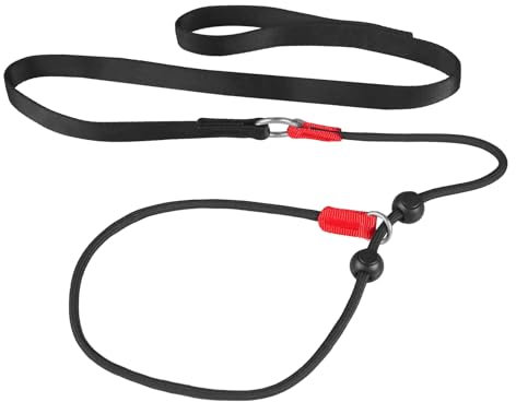 Dog Leash Slip,Nylon Dog Rope Leash & Collar, No Pull Adjustable Slip Lead, for Small Medium Dogs Puppies (55 * 2)