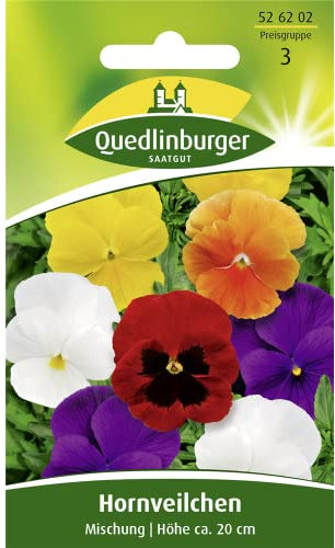 Hornveilchen, Hybrid-Mischung