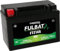 Batterie Fulbat YTZ14S Gel SLA 12V 11.2Ah (Wartungsfrei)