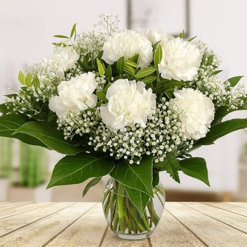 Blumenstrauß mit weißen Nelken und Schleierkraut | Inklusive gratis Grußkarte