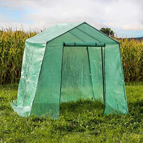 DEMA Folienzelt Gewächszelt 5 m² – 2x2,5x2,15 m, Folien-Gewächshaus, Treibhauszelt – robust, wetterfest, langlebig – für Garten, Terrasse, Balkon, Pflanzen, Gemüse, Kräuter, Aufzucht, Frühbeet