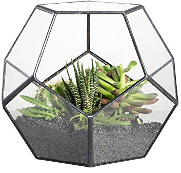 NCYP Small Glass Geometric Terrarium Planter, 17.5x17.5x15 cm Open Terrarium Pot for Succulent, Cacti - Indoor Home Garden Tabletop Decor, Black (No Plants, No Door)
