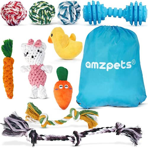 AMZpets Hundespielzeug unzerstörbar - 10-teiliges Hunde- und Welpenspielzeug-Set für kleine bis mittelgroße Rassen - Hunde Spielsachen aus Baumwolle