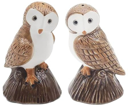 Owl Ceramic Salt & Pepper Shaker Cruet Set Novelty Gift, Boxed Owls Desgin 5627