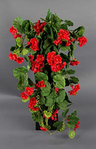 Seidenblumen Roß Geranienhänger 70cm rot ZF Kunstpflanzen künstliche Geranie Kunsblumen Hängegeranie