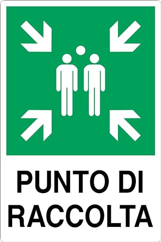 CARTELLO IN LAMIERA SCATOLATA RETTANGOLO 60X40 cm - PUNTO DI RACCOLTA - SEGNALE CATARIFRAGENTE (Classe 1)