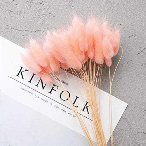 Martin Kench 60 Stück Pampasgras Samtgras, Trockenblumen Getrocknetes Pampasgras Blumenstrauß Deko für Hochzeit Zuhause Fotografie (Pink)