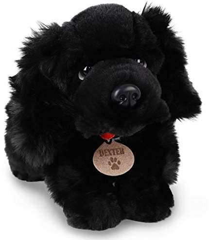 Toyland® Jouet en Peluche pour Chien de 35 cm – Jouet en Peluche pour Enfants – Exclusif à (Dexter l'épagneul)