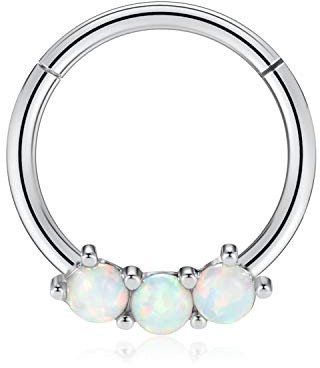 hengkaixuan 16G Nasenringe Hoop 316L Segment Helix Knorpel Rook Ohrringe Hoop Septum Clicker Ring Daith Piercing 6mm 7mm 8mm 10mm