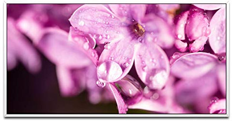Blumen in pink ca. 130x70cm Wandbild inklusive Schattenfugenrahmen weiss - Panorama Leinwand Bild XXL Format Wandbilder Wohnzimmer Wohnung Deko Kunstdrucke