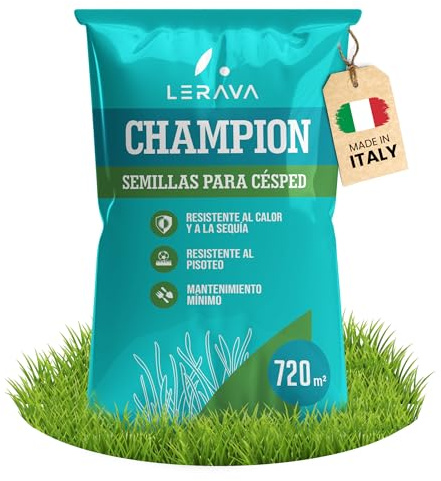 LERAVA CHAMPION semi prato (720m²) - festuca arundinacea di qualità - resistente a siccità e alte temperature - prato verde scuro fine - ideale per giardini e spazi verdi