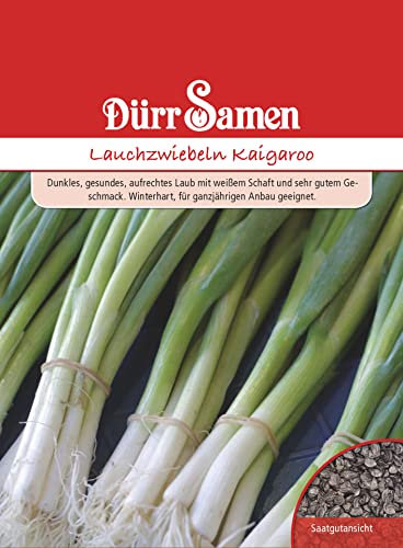 Dürr-Samen - Lauchzwiebeln winterhart Saatgut