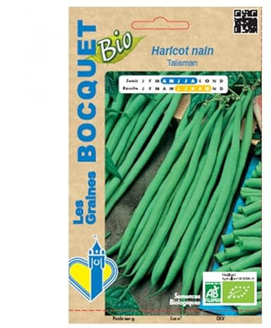 Sachet de graines de Haricot Nain Talisman- Bio- Certifié ECOCERT FR-BIO-01-60g - Les Graines Bocquet