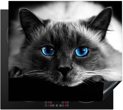 KitchenYeah© Protege Plaque Tapis Pour Induction Deco Cuisine Protection | 59x52 cm - Vitrocéramique Pour Cuisiniere Chat - Yeux - Gris - Bleu