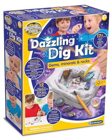 Brainstorm Toys Dazzling Dig Kit – Set di scavi da 17 pezzi con 12 vere pietre preziose, rocce e minerali | STEM Geology Kit con strumenti e borsa per riporre