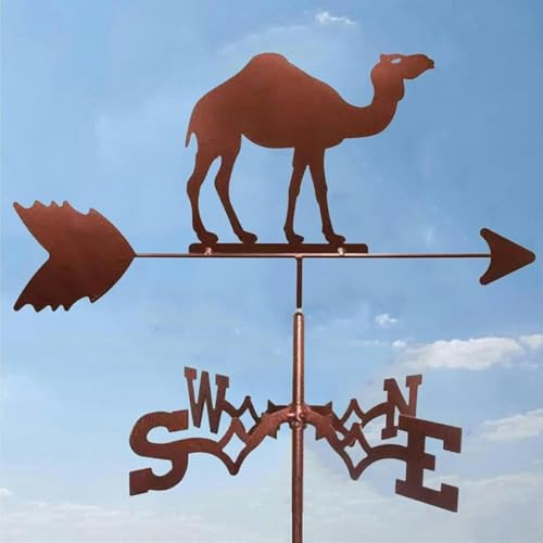 MWAYOYTE Girouette décorative pour Cour extérieure, décoration de Jardin, girouette en Acier Inoxydable, indicateur de Direction du Vent rétro pour Ferme