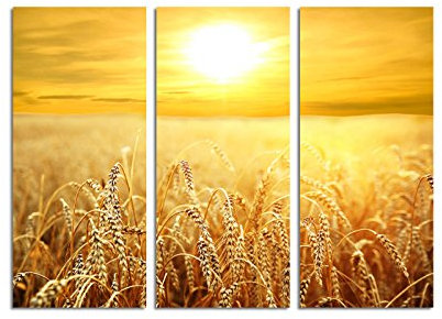 Paul Sinus Art 130x90cm – Keilrahmenbild Ähren Weizenfeld Sonnenuntergang Feld 3teiliges Wandbild auf Leinwand und Keilrahmen - Fotobild Kunstdruck Artprint