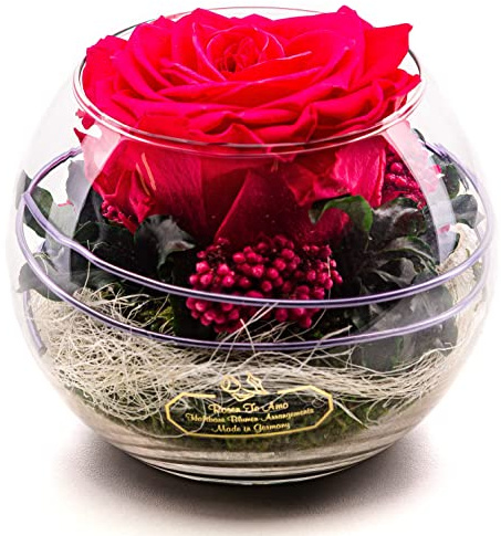 Rosen-Te-Amo |Ewige Rose im Glas duftend, handgefertigt Premium echte Rose pink |Geburtstagsgeschenk für Frauen, Mama, Oma Konservierte Blume zum Weihnachten, Valentinstag, Muttertag, Deko Geschenk