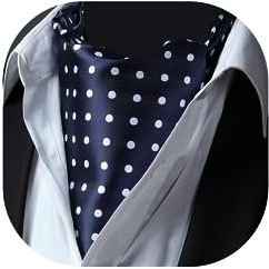 HISDERN Men's Navy Blue Cravat Wedding Polka Dot Ascot Tie Classic Jacquard Woven Business Cravats
