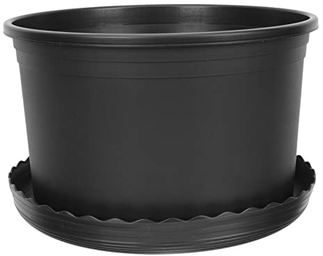 TOYANDONA Maceta de Grosella Negra de Macetas de Plástico para Jardinería para Viveros de Rosas Chinas Contenedor Robusto para Suculentas