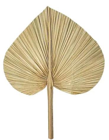 Ventaglio Da Borsetta Foglie di palma a forma di cuore, fiori secchi, mini foglie di palma in diverse forme, rami di della pampa, decorazioni for matrimoni, decorazioni for la casa(B 40x30x2cm)