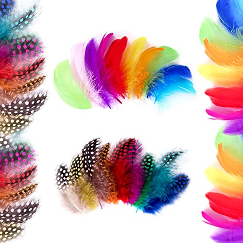 Jesustree Bunte Federn 300 Stück Natürliche Gänsefeder Deko, 7-12cm Indianer Feder Bunt Feder Handwerk zum Basteln, für DIY Ohrring, Traumfänger, Karneval Masken, Hüte, Kunstwerk, Gemischte Farben