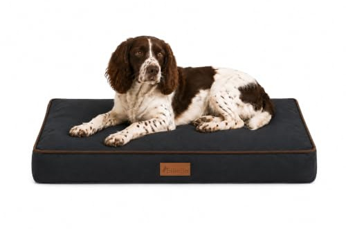 Ellie-Bo Hundebett für Innen, Matratze weich und waschbar, Bezug: wasserfestes Oxford-Gewebe, Füllung: Polyesterfaser, für 91-cm-Hundekäfig, Größe L: 87 x 57 x 10 cm, in Schwarz mit braunen Paspeln