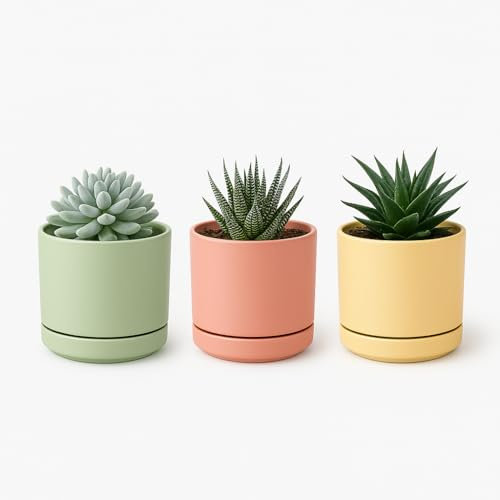 TECHZOCO Macetas para Cactus de plástico, Mini Maceteros Pequeños para platas, Macetas Decorativas, No Incluyen Las platas, Incluye Plato Integrado, 10.5 cm diámetro x 9.2 cm Alto, Pack 3 Unidades