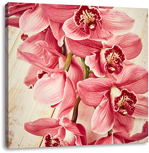 Pixxprint Rosane Orchideenblüten, Größe: 60x60, Leinwandbild Quadratisch, Wandbild, Kunstdruck, fertig bespannt