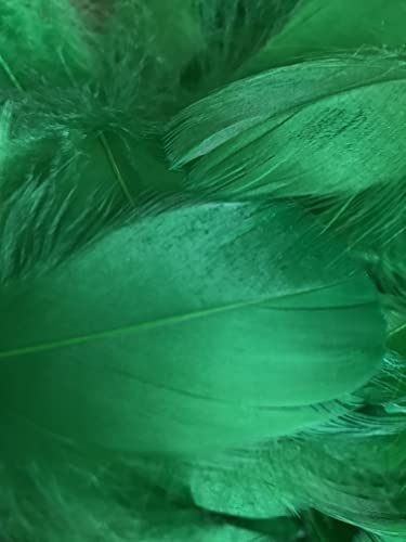 Emerald Green Feathers, 100 Pack
