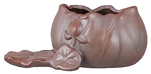 TOYANDONA Ceramica Vaso Idroponico 1 Pezzo con Vassoio per Piante Verdi