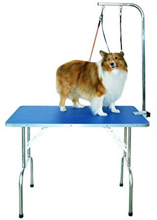 Gravitis Pet Supplies Professional Dog Grooming Table – A sturdy, portable folding table for grooming for small and medium pets