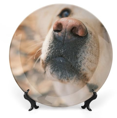Dog Labrador Pet Eye Decorative Plate for Wall Ceramic Home Wobble-Plate with Display Stand Table Decor Ornament Dinner Plate Dessert Dish Holiday Christmas Decoration 8