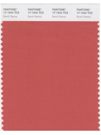 PANTONE Smart 17-1544X Color Swatch Card, Burnt Sienna